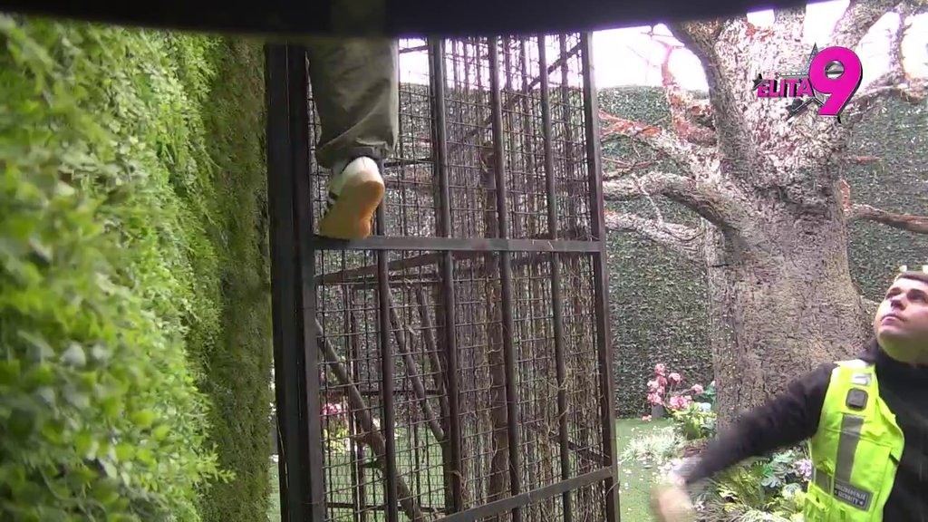 OBEZBEĐENJE ODMAH ULETELO! Anastasija ističe da ne može da izdrži, ali se zato penje kao puma, zbog Bore pokušala da pobegne (VIDEO)