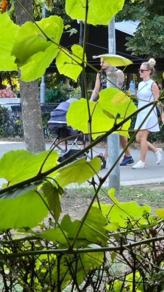 SVI NA OKUPU! Terza i Milica uhvećeni u šetnji sa ćerkicom Barbarom! Brižan tata se ne odvaja od svoje naslednice, dok mama ne skida osmeh sa lica! (FOTO)