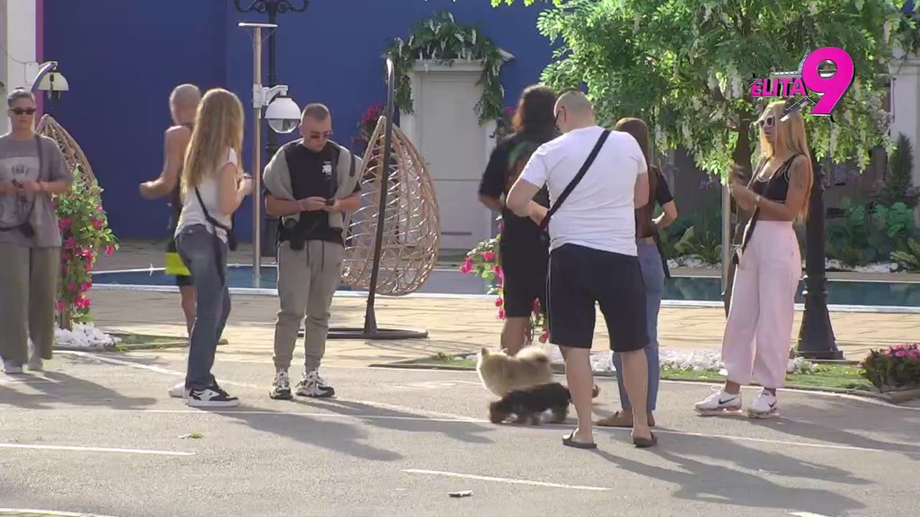 ZBORAVILA NA DOSTOJANSTVO: Sara moli Luksa za novu šansu, ponovo šokirala izjavom: JA ĆU MU RODITI DETE! (VIDEO)