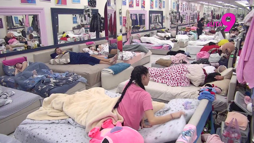 Oglasio se Veliki šef: Elitom odzvanja jasna poruka! (VIDEO)