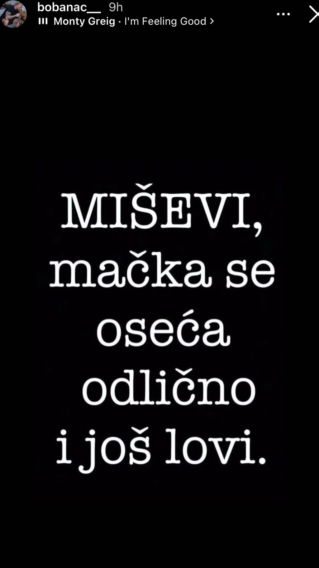 GOSPOĐO, TO VAŠE NEZADOVOLJSTVO... Bukti rat Žane i Bobanca! Žestoko zaratili zbog Vanje Živić, na mrežama haos: Kad magarac poveruje da je lav... (FOTO)