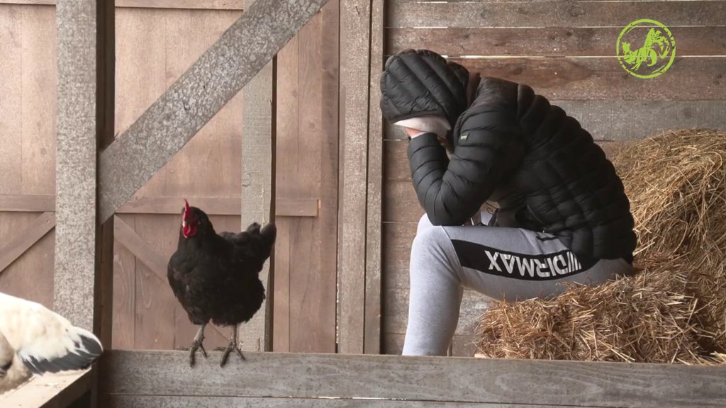 NEDOSTAJE MU PORODICA! Dok ostali pevaju i vesele se, Lakić TUGUJE u samoći (VIDEO)