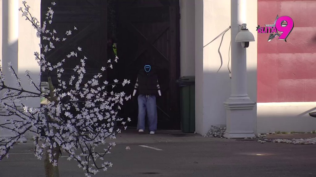 LUKI IZA LEĐA! Anita dogovara tajni zadatak sa Tošom, ima fantastičan plan! (VIDEO)