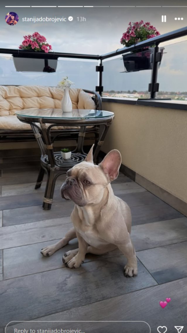 Luksuzan stan Stanije Dobrojević ostavlja bez teksta: Platila ga je 150 hiljada evra, a jedan kutak će vas raspametiti (FOTO)