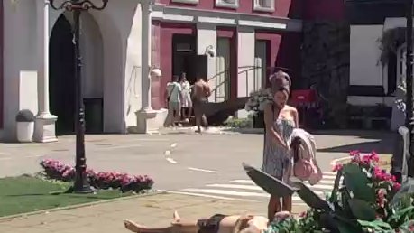Danas želi da izdominira: Stanija se ozbiljno sprema za podelu budžeta, neće dozvoliti sebi kiks! (VIDEO)