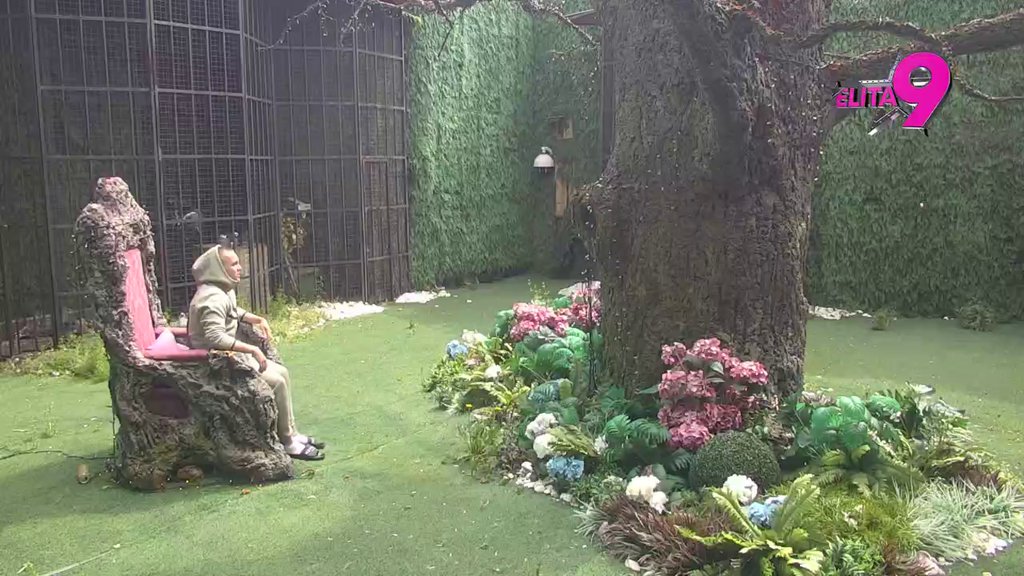 Asmin namerno ZAVRŠAVA u Maju, na kvarno joj pravi dete! Dača raskrinkao sve: Aneli i Alibaba su NAPRAVILI DOGOVOR u izolaciji! (VIDEO)