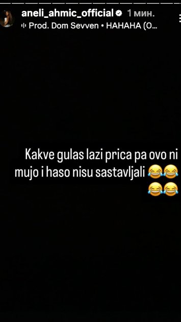 Hitna reakcija Aneli Ahmić: Brutalnim rečima isprozivala Alibabu! (FOTO)