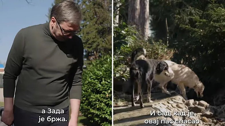 'MNOGO IH VOLIM' Vučić objavio snimak sa svojim psima, pa poručio: Oni nisu samo naši ljubimci, već i pravi prijatelji (VIDEO)