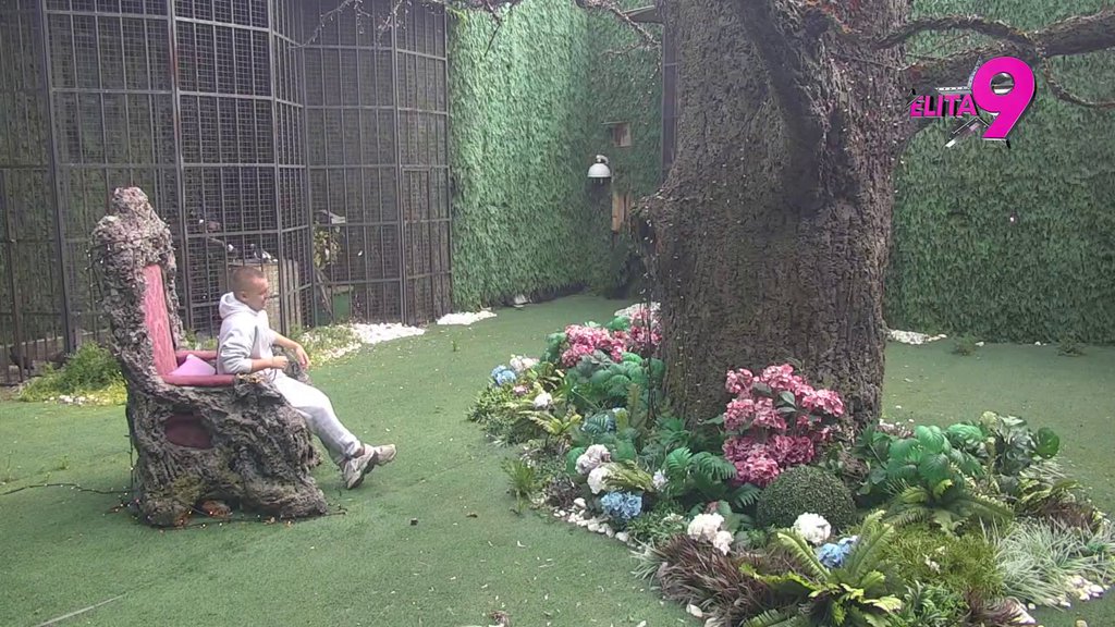 JOŠ UVEK IMA EMOCIJE PREMA NJEMU: Dača zgrožen jer je Milena zgazila svoje dostojanstvo zbog Janjuša, smatra da je OPTEREĆENA njegovom pojavom: KONSTANTNO JE PRIČALA... (VIDEO)