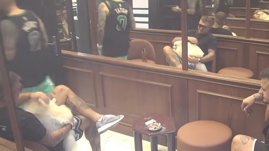 ANĐELA NA APARATIMA: Snupi skočio kod Karića u krilo, ne odvaja se od njega (VIDEO)