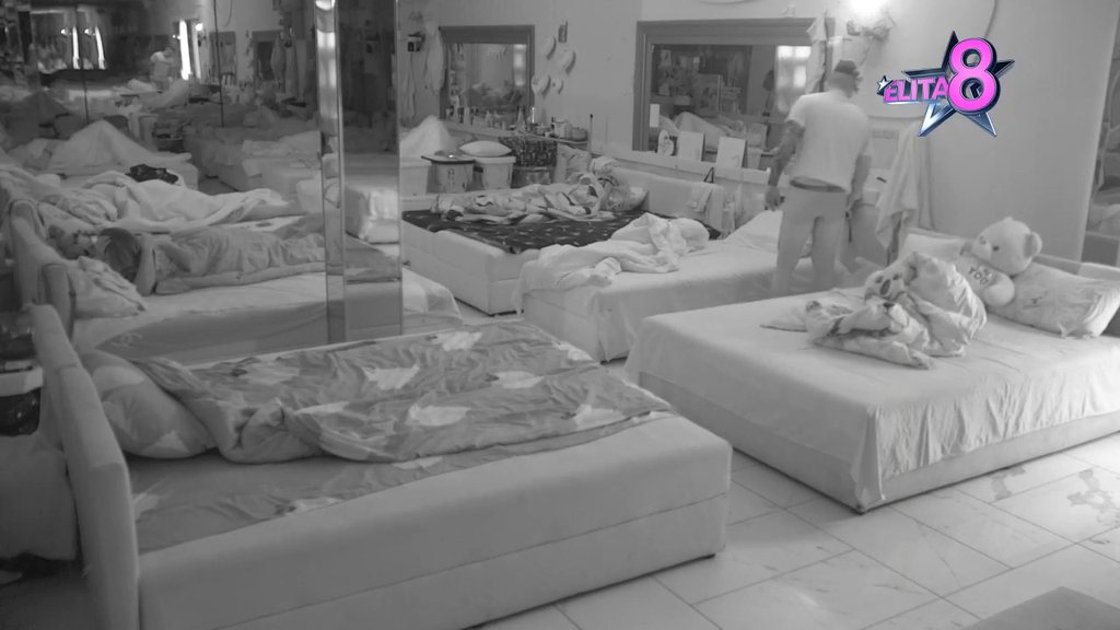 Što nisi lajao?! Novo poniženje za Terzu, ustao s poda, zamerio Sofiji što LEŽI KAO KER, pa joj odbrusio: Nek ti Gastoz kuva kafu! (VIDEO)