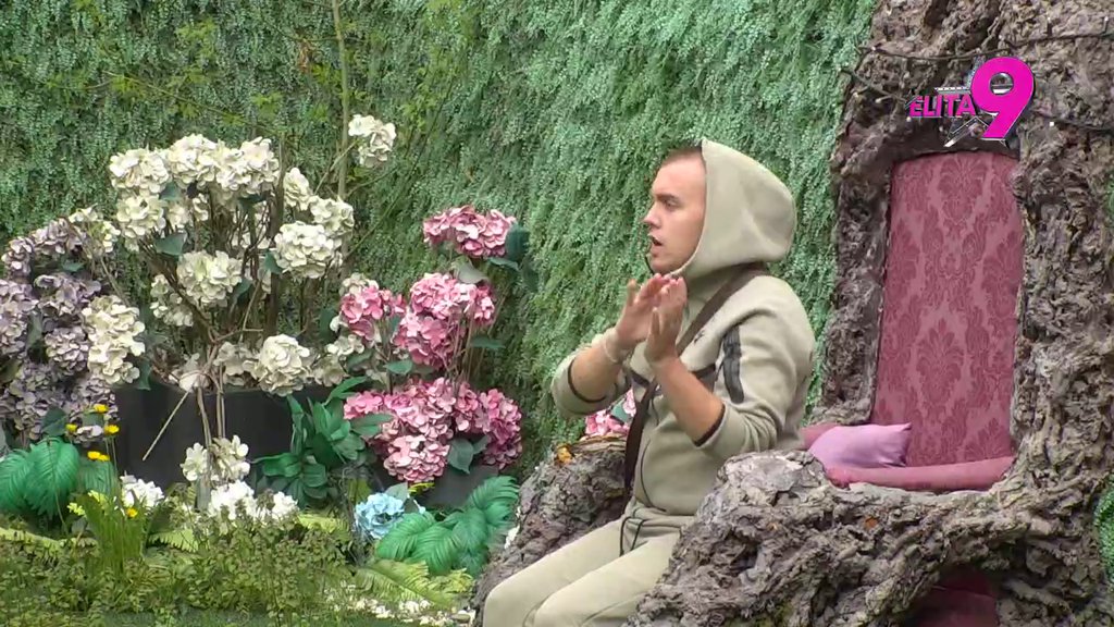 Asmin namerno ZAVRŠAVA u Maju, na kvarno joj pravi dete! Dača raskrinkao sve: Aneli i Alibaba su NAPRAVILI DOGOVOR u izolaciji! (VIDEO)