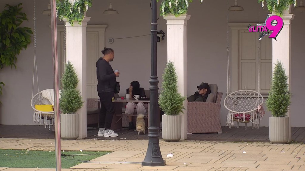 SPREMA SE LUD PROVOD: Bora otkrio učesnicama kakav je plan i program za njegovu proslavu RAZVODA! (VIDEO)