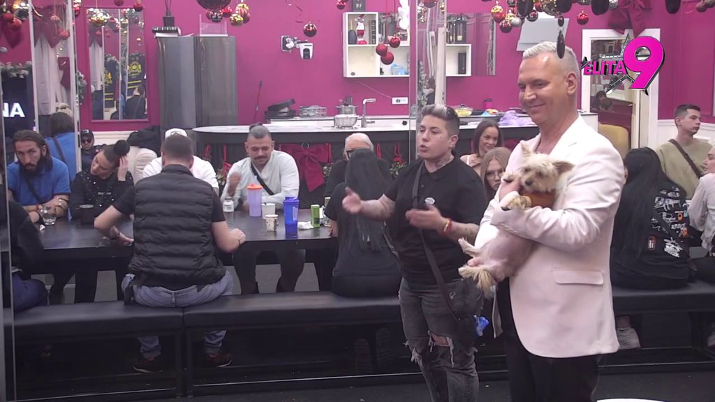 Mislila sam da imaš više rezona: Matora očitala Anđelu lekciju, zbog Anite i njega je sve osetila na svojoj koži (VIDEO)