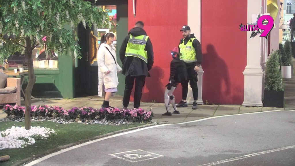 Šok preokret: Toša i cimeri proslavili uspešno obavljen zadatak, Miljana napravila HAOS (VIDEO)