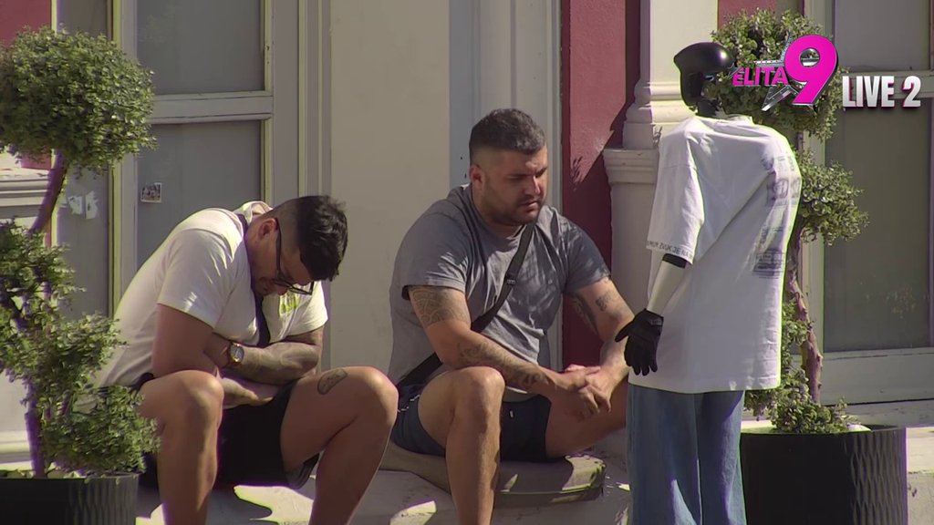 Hitno traži Tošinu pomoć: Terza rešio da iznenadi Sofiju i podigne je iz očaja! (VIDEO)