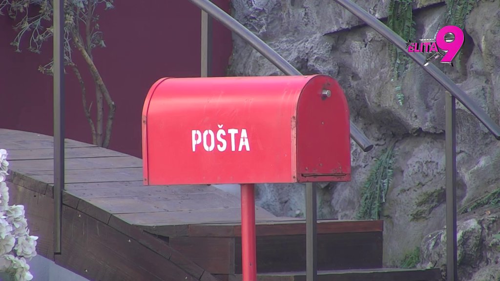 POČINJE VELIKO SLAVLJE U ELITI! Željko Mitrović danas proslavlja krsnu slavu, vreme je za gozbu u Beloj kući! (VIDEO)