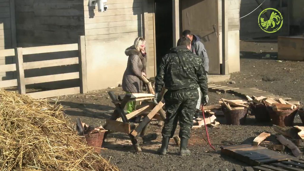 'A JUČE MI JE REKAO DA SAM LEPA...' Barbi se požalila drugarima da je Marko zadirkuje: On bi da me... (VIDEO)