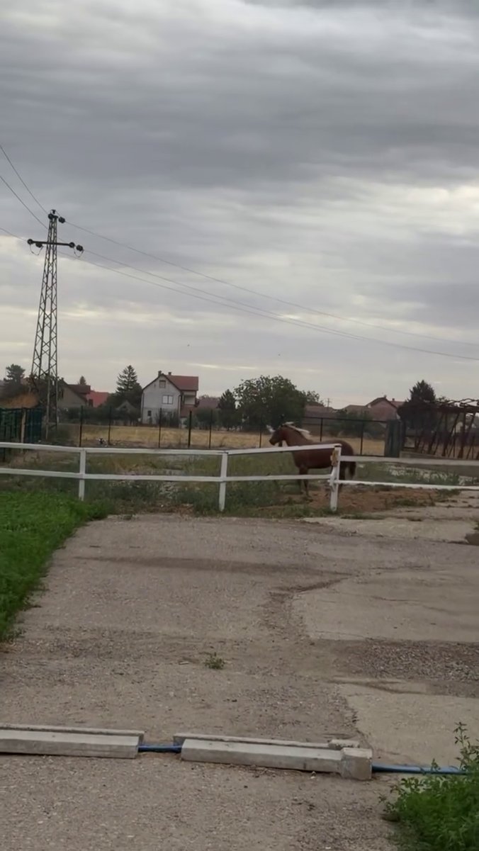 galerija