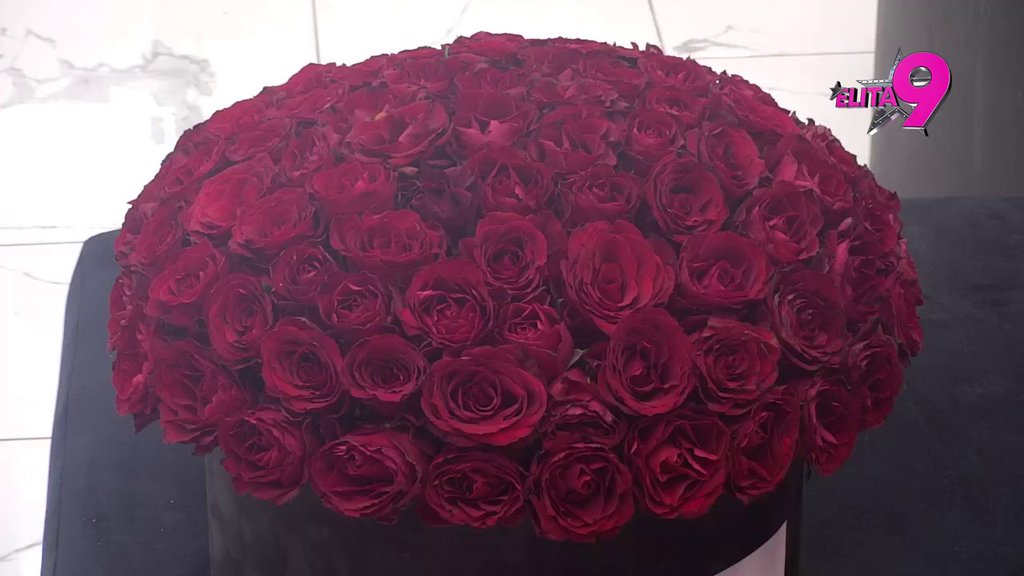 Pozeleneli od muke! Stigao ŠLEPER POKLONA za Aneli i Anđela, njihovi bivši poskakali kao opareni, Anita odmah krenula sa niskim udarcima: Nadam se da je stiglo ulje!  (VIDEO)