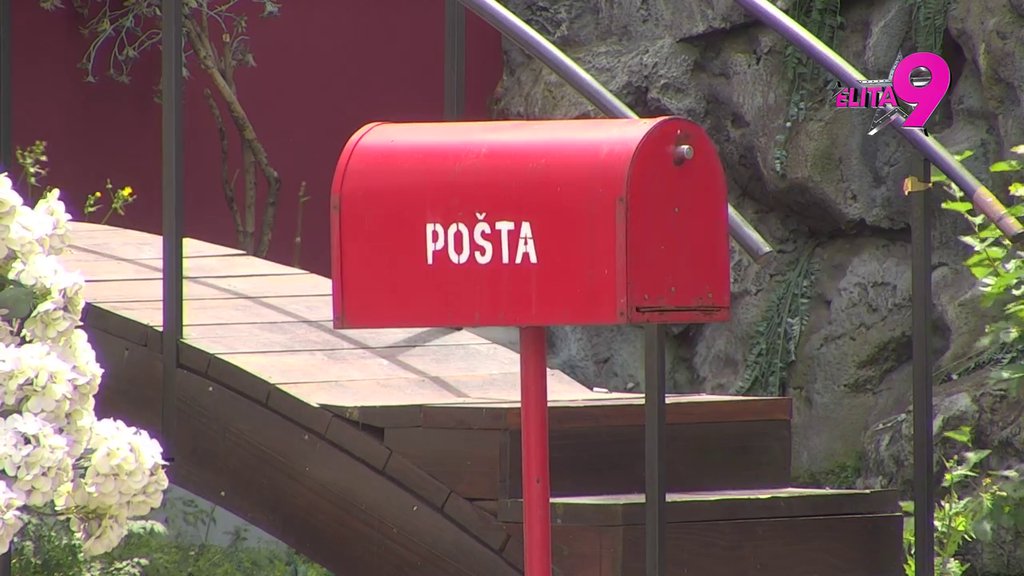Dača dobio svojih PET MINUTA! Izabrao osam najvećih DUPLJAKA, oni su ove nedelje Odabrani! (VIDEO)