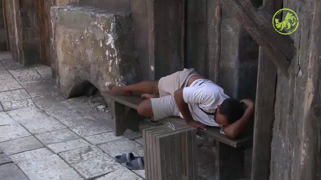 SAM JE SEBI DOVOLJAN! Peca pobegao od svih, pa se bacio u duboko razmišljanje (VIDEO)
