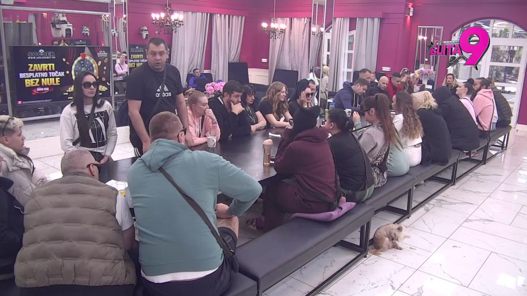 DA NIJE BILO STANIJE, NE BI BILO NI TEBE: Uroš BRUTALNO ponizio Asmina, pa potkačio Luku: Ne brineš o svom ocu! (VIDEO)