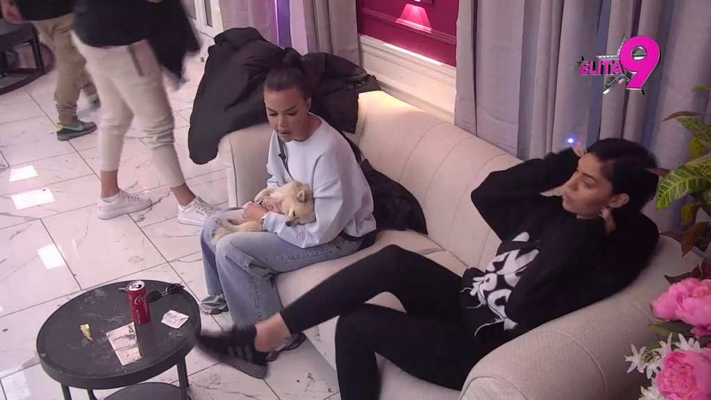 Ti si mene ponizio, ja sam, veruj mi, cica maca: Mina ponovo oduvala Terzu, on je moli da mu se ne obraća i da mu se ne smeje (VIDEO)