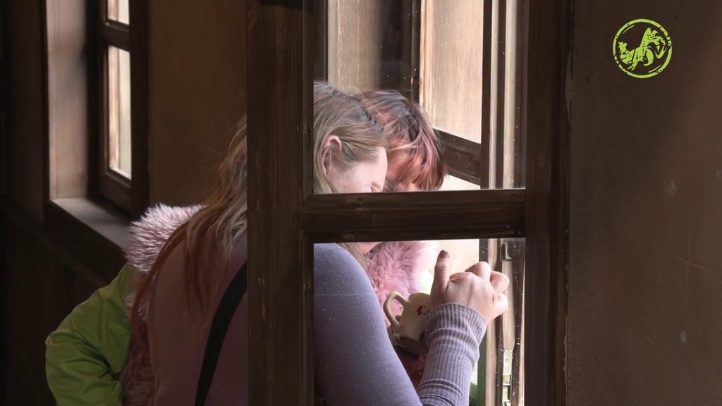 Sneža Kušadasi gleda u šolju Bojane Barbi: Predviđala da li će uskoro napustiti imanje, pa videla NOVU LJUBAV (VIDEO)