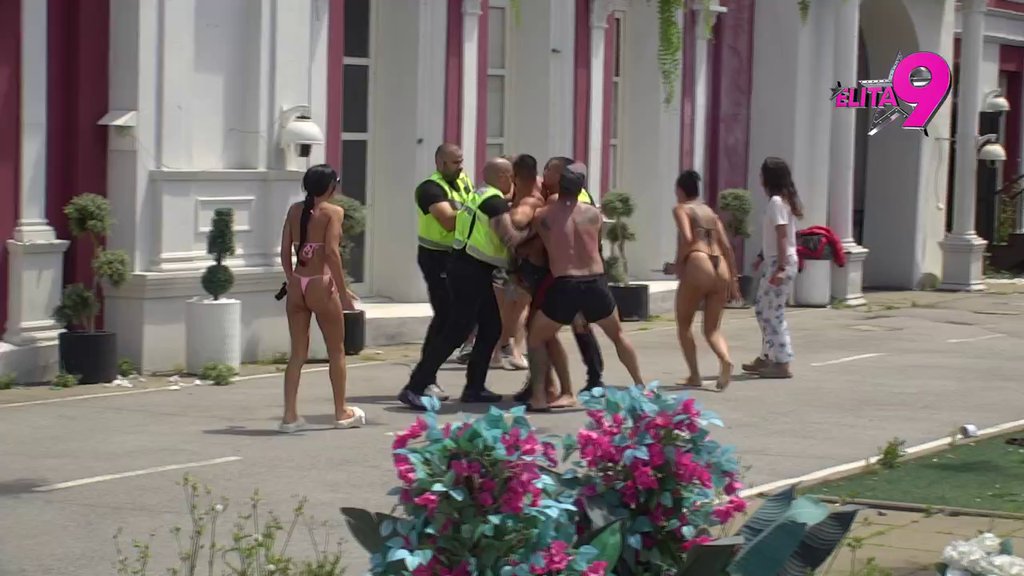 Haos epskih razmera: Obezbeđenje jedva zaustavilo haos Bore i Viktora, leti perje na sve strane (VIDEO)