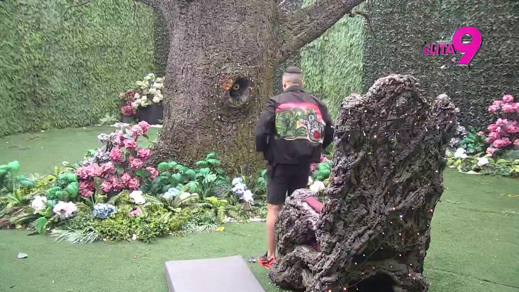 POKAZAO SAM DA SAM ISKREN: Terza otkrio da li strahuje od Sofijine porodice, pa žestoko osolio po odnosu Anite i Luke! (VIDEO)