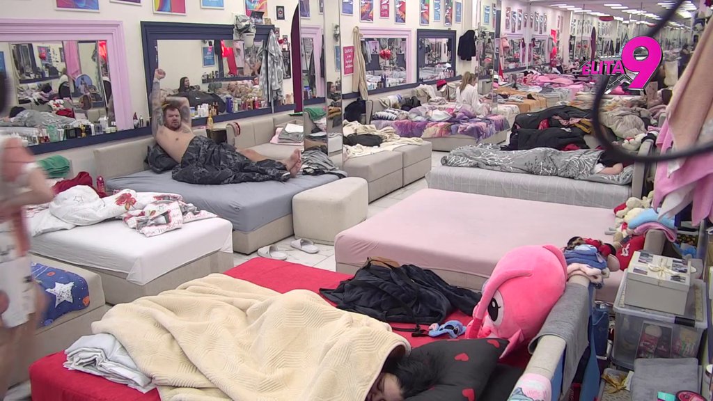 Oglasio se Veliki šef: Svi u Eliti hitno moraju da reaguju! (VIDEO)