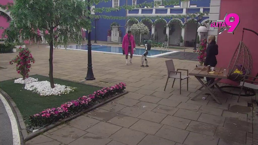 PRIKRIVA ISTINU?! Filip daje sve od sebe da negira poljubac sa Teodorom, Toša uveren da su bili prisni! (VIDEO)