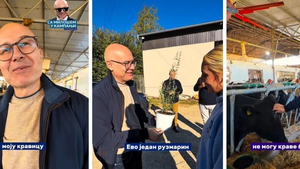 PRONAŠAO SAM SVOJU KRAVICU! Vučević obišao gazdinstvo u Bačkoj Palanci, vrednoj Sofiji doneo i poklon: U štali ih je čak 400, a Bikica ga je posebno oduševila (VIDEO)