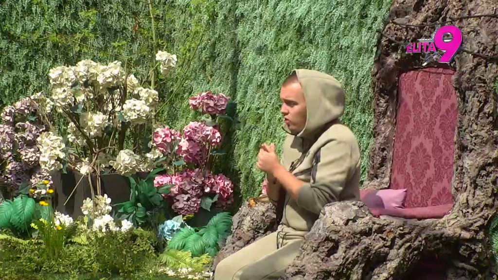 Asmin namerno ZAVRŠAVA u Maju, na kvarno joj pravi dete! Dača raskrinkao sve: Aneli i Alibaba su NAPRAVILI DOGOVOR u izolaciji! (VIDEO)