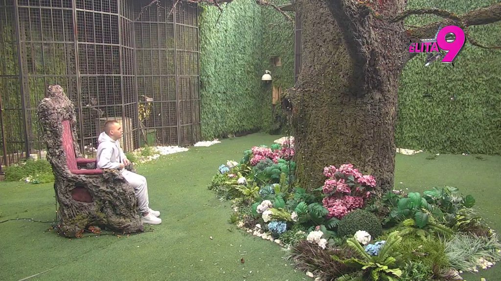 Stalno priča o njemu: Dača dao svoj sud o Teodori i Filipu, pa otkrio da Maja jedva suzdržava emocije prema Asminu (VIDEO)