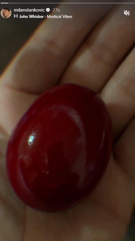 Milan Stanković se oglasio na Veliki petak: Oduševio pratioce ovom objavom (FOTO)