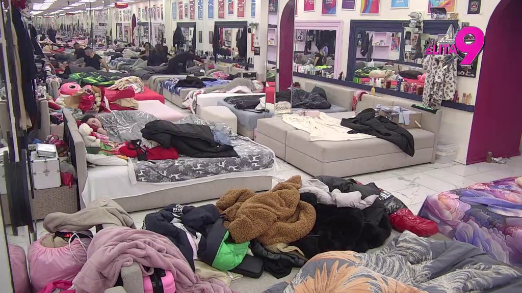 Oglasio se Veliki šef: Svi u Eliti hitno moraju da reaguju! (VIDEO)