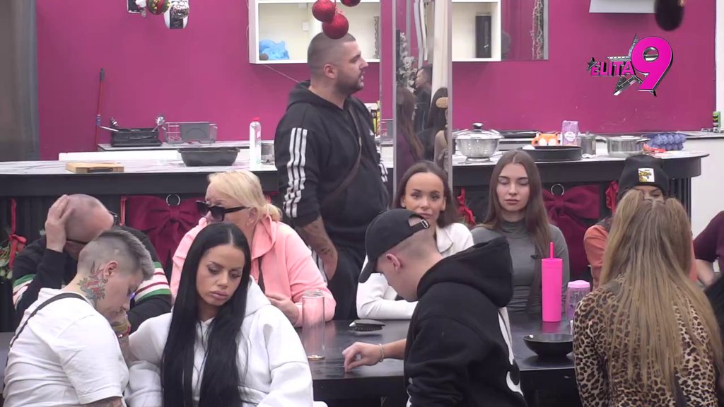 BUKTI RAT: Terza i Bebica žestoko zaratili, leti perje na sve strane! (VIDEO)