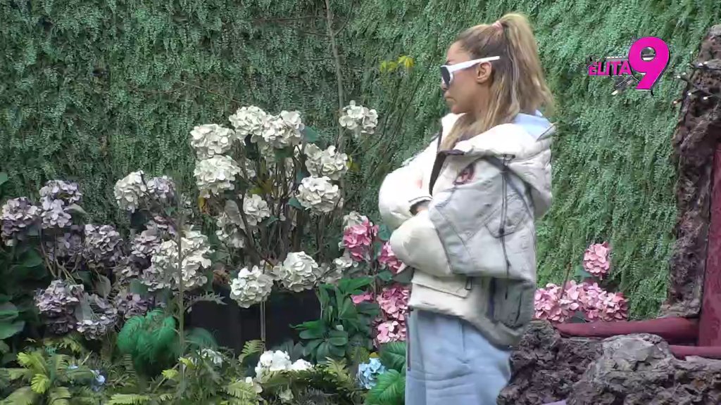 Oštećuje Aniti mozak, čeka tortu i mafine! Aneli uništila Luku, pa otkrila šta oseća prema Asminu: Poželim da ga zagrlim! (VIDEO)